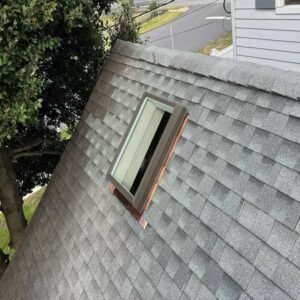 Expert Skylight Leak Repair in Orient